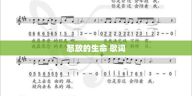 怒放的生命 歌词