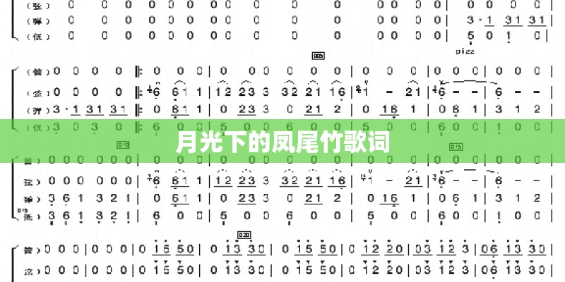 月光下的凤尾竹歌词