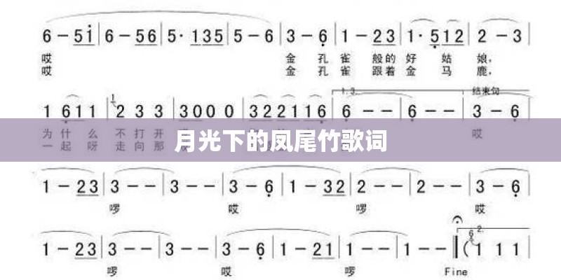 月光下的凤尾竹歌词