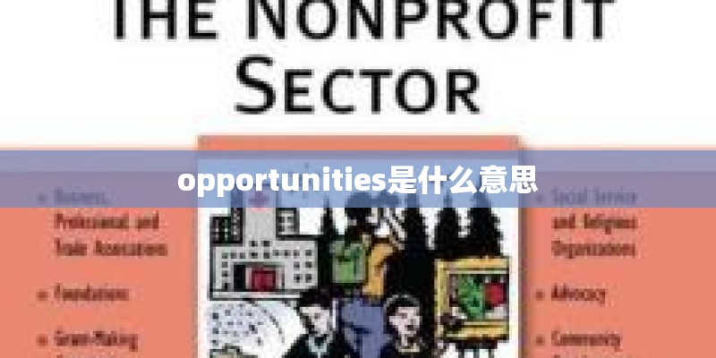 opportunities是什么意思