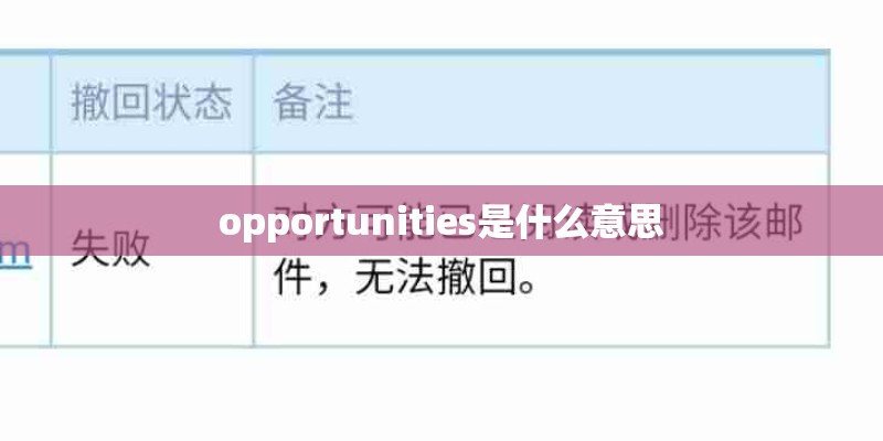 opportunities是什么意思