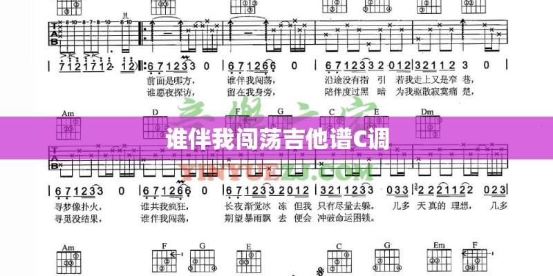 谁伴我闯荡吉他谱C调