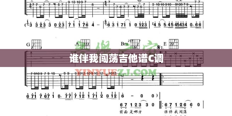 谁伴我闯荡吉他谱C调