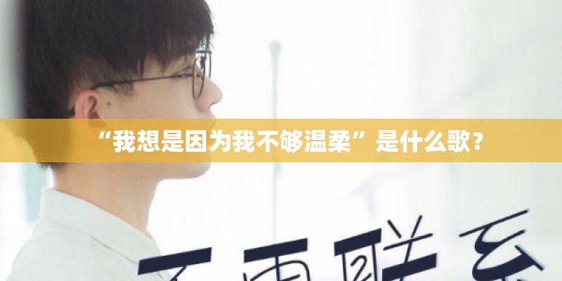 “我想是因为我不够温柔”是什么歌？