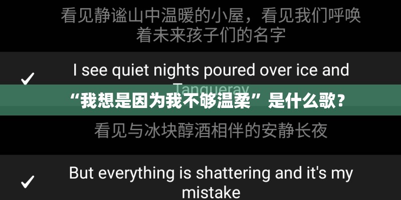 “我想是因为我不够温柔”是什么歌？