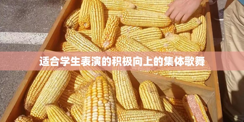 适合学生表演的积极向上的集体歌舞