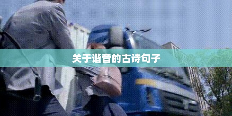 关于谐音的古诗句子