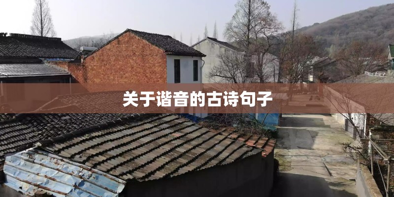 关于谐音的古诗句子