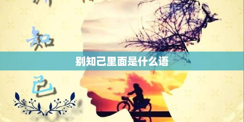 别知己里面是什么语