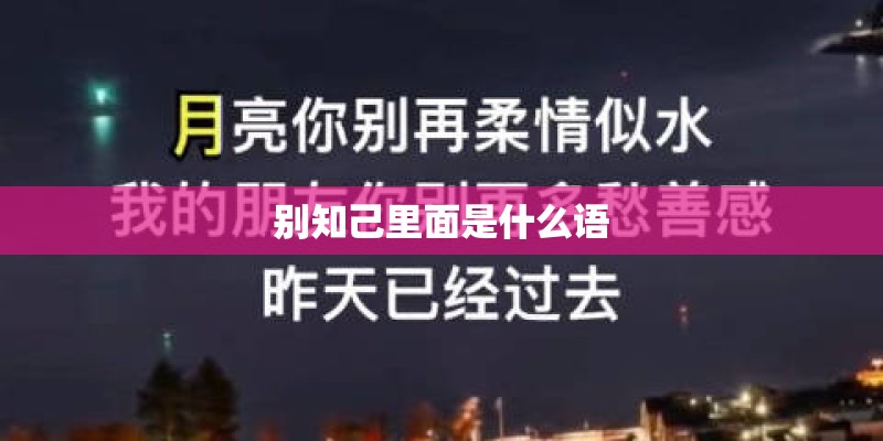 别知己里面是什么语