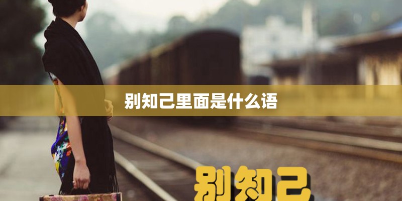 别知己里面是什么语