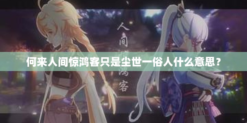何来人间惊鸿客只是尘世一俗人什么意思？
