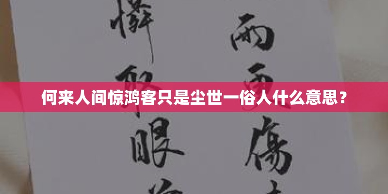 何来人间惊鸿客只是尘世一俗人什么意思？