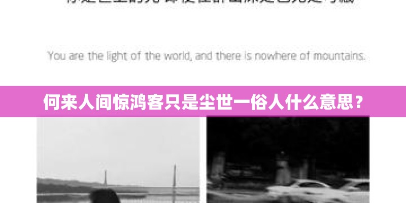 何来人间惊鸿客只是尘世一俗人什么意思？