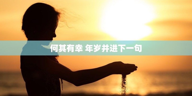 何其有幸 年岁并进下一句