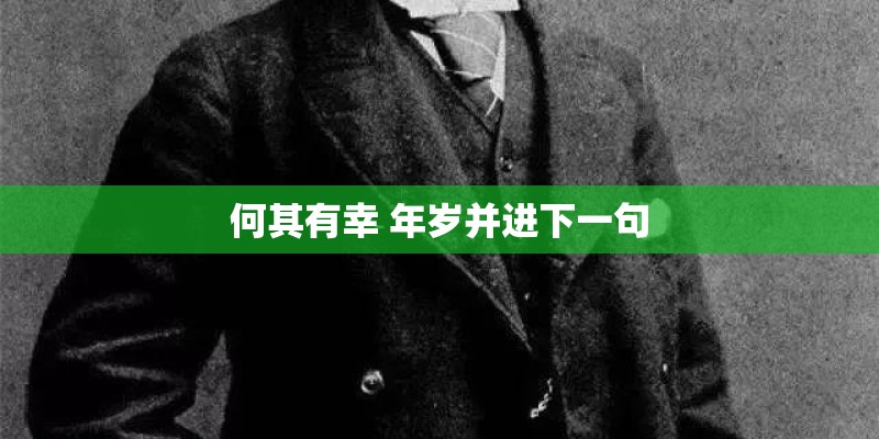 何其有幸 年岁并进下一句