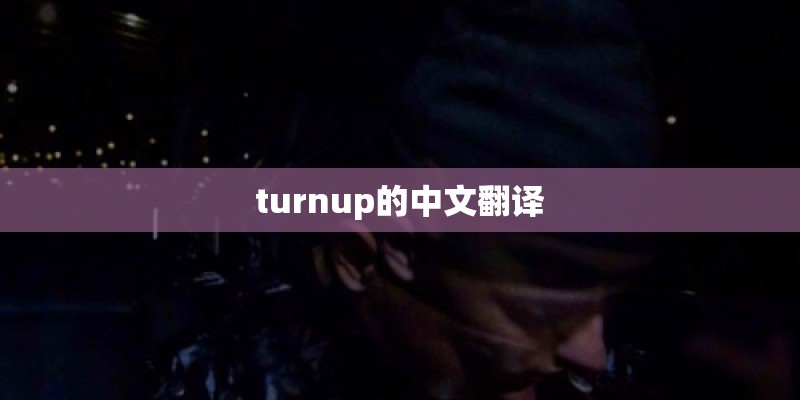 turnup的中文翻译
