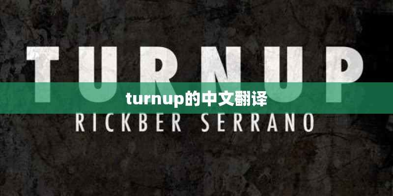 turnup的中文翻译