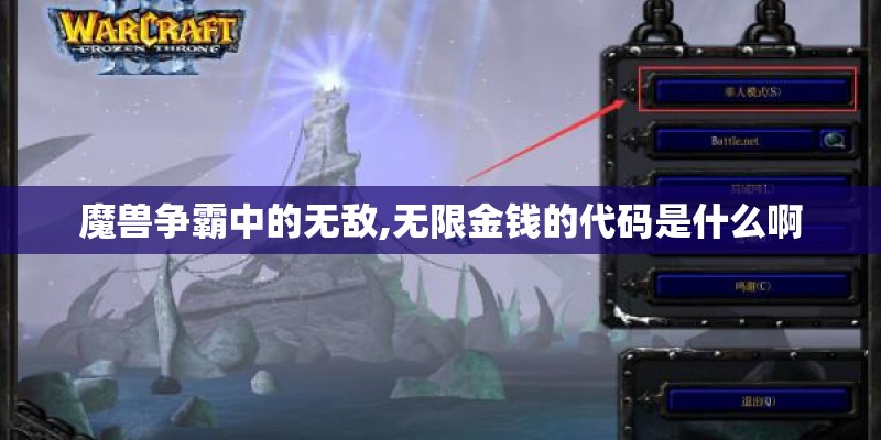 魔兽争霸中的无敌,无限金钱的代码是什么啊