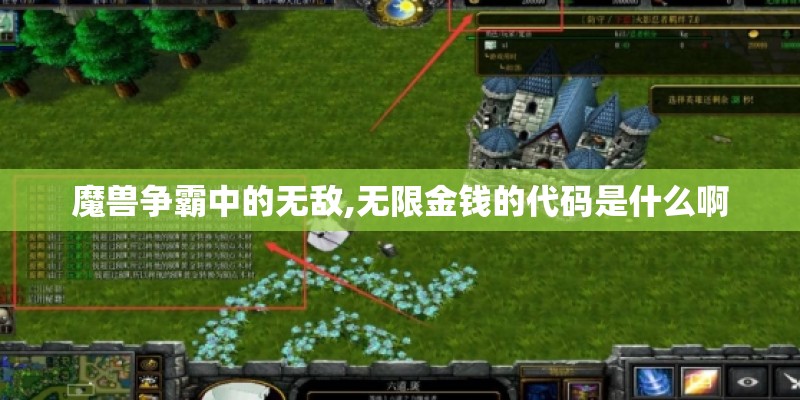 魔兽争霸中的无敌,无限金钱的代码是什么啊