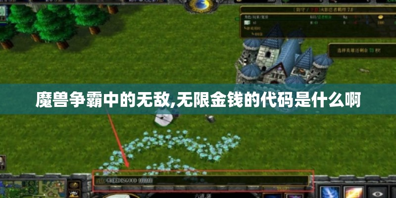 魔兽争霸中的无敌,无限金钱的代码是什么啊