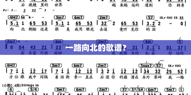 一路向北的歌谱？