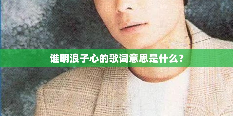 谁明浪子心的歌词意思是什么？