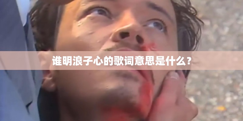 谁明浪子心的歌词意思是什么？