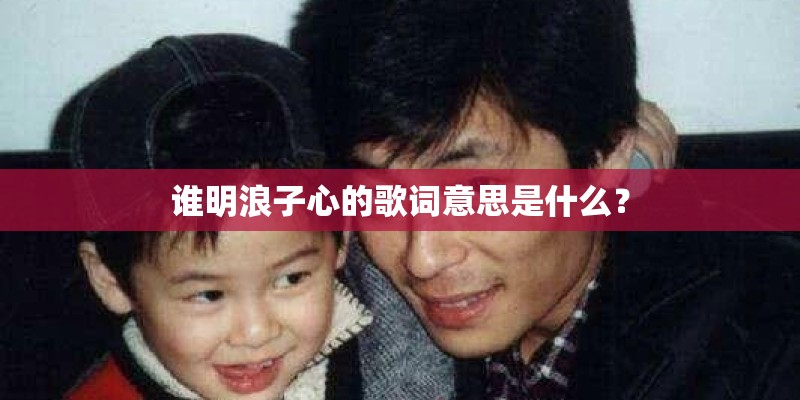 谁明浪子心的歌词意思是什么？