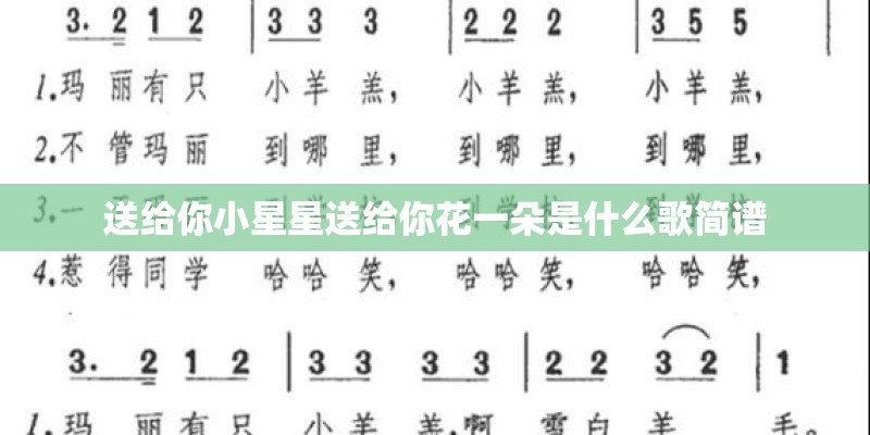 送给你小星星送给你花一朵是什么歌简谱