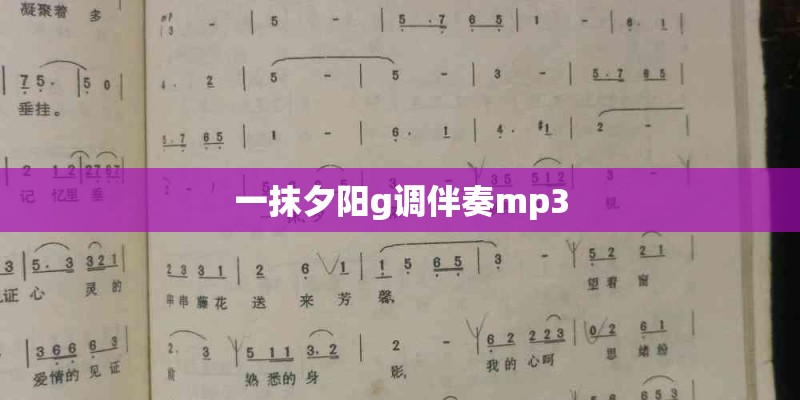 中国国内一线阀门品牌制造商有几个呢？