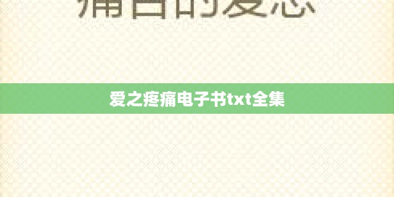 爱之疼痛电子书txt全集