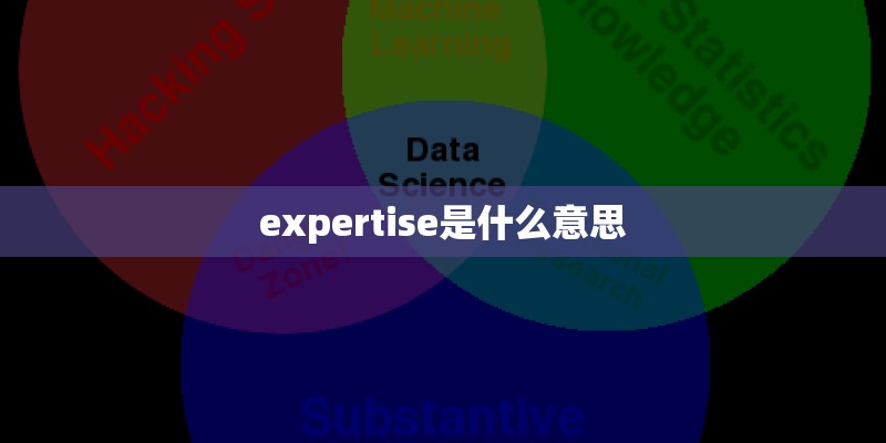 expertise是什么意思 expertise是什么意思