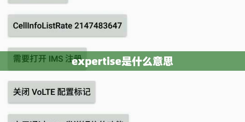 expertise是什么意思 expertise是什么意思
