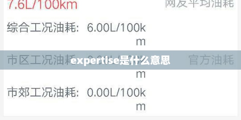 expertise是什么意思 expertise是什么意思