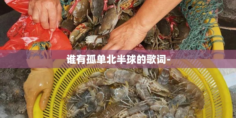 谁有孤单北半球的歌词-