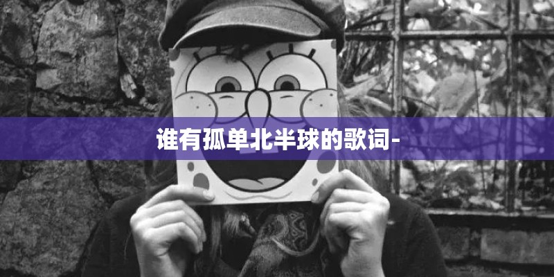 谁有孤单北半球的歌词-
