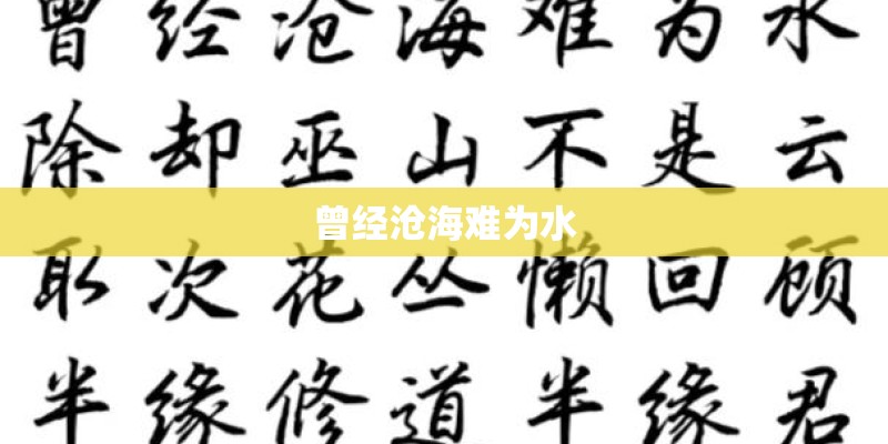 曾经沧海难为水
