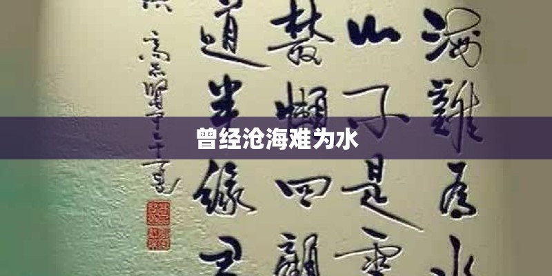 曾经沧海难为水
