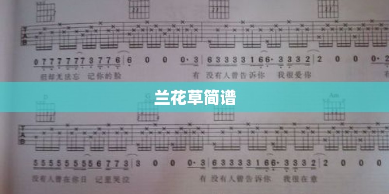 兰花草简谱