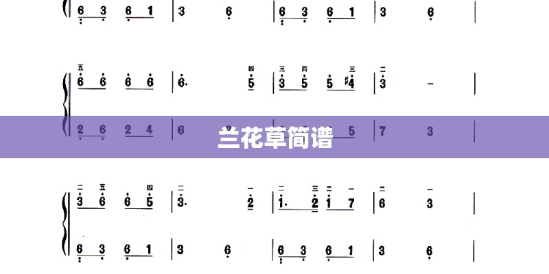 兰花草简谱