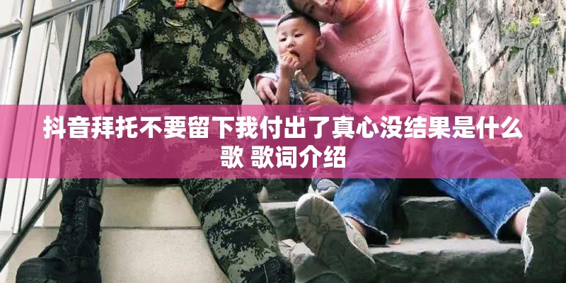 抖音拜托不要留下我付出了真心没结果是什么歌 歌词介绍