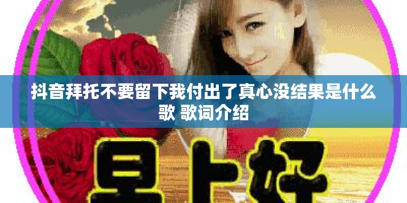 抖音拜托不要留下我付出了真心没结果是什么歌 歌词介绍