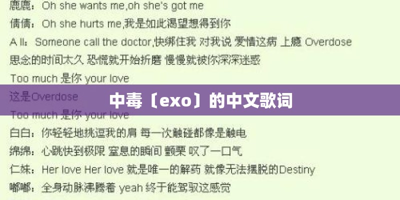 中毒〔exo〕的中文歌词