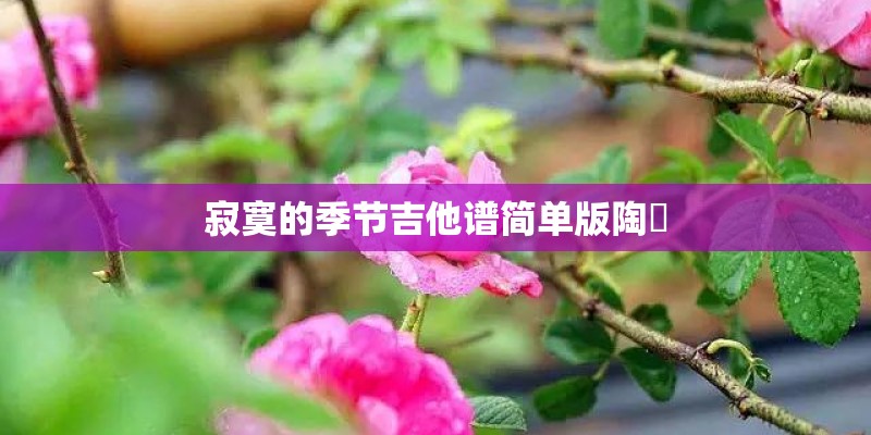 寂寞的季节吉他谱简单版陶喆