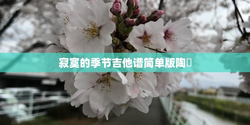 寂寞的季节吉他谱简单版陶喆