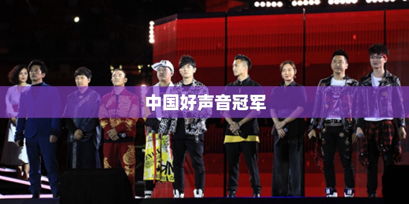 中国好声音冠军