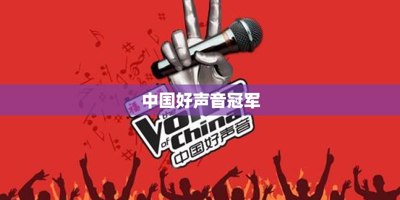 中国好声音冠军