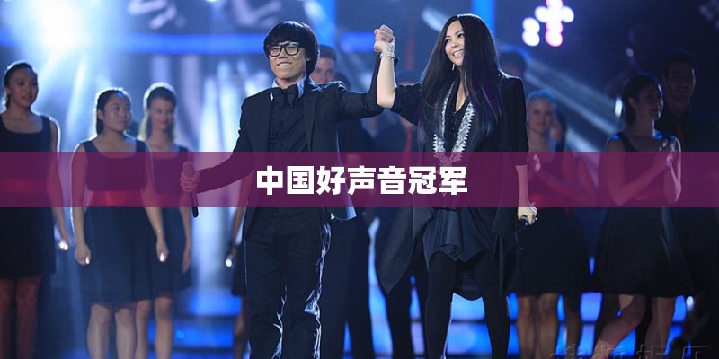 中国好声音冠军