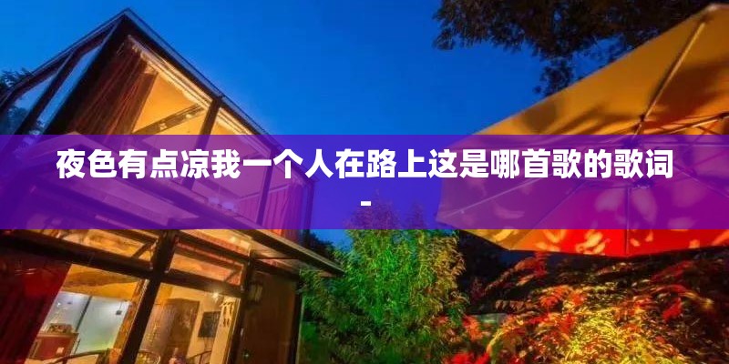 夜色有点凉我一个人在路上这是哪首歌的歌词-